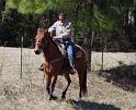 135-Woman on Bay Horse